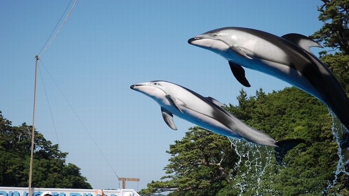 【下田海中水族館入場券付】イルカと遊べる人気の施設！お部屋食／庭園付露天風呂客室